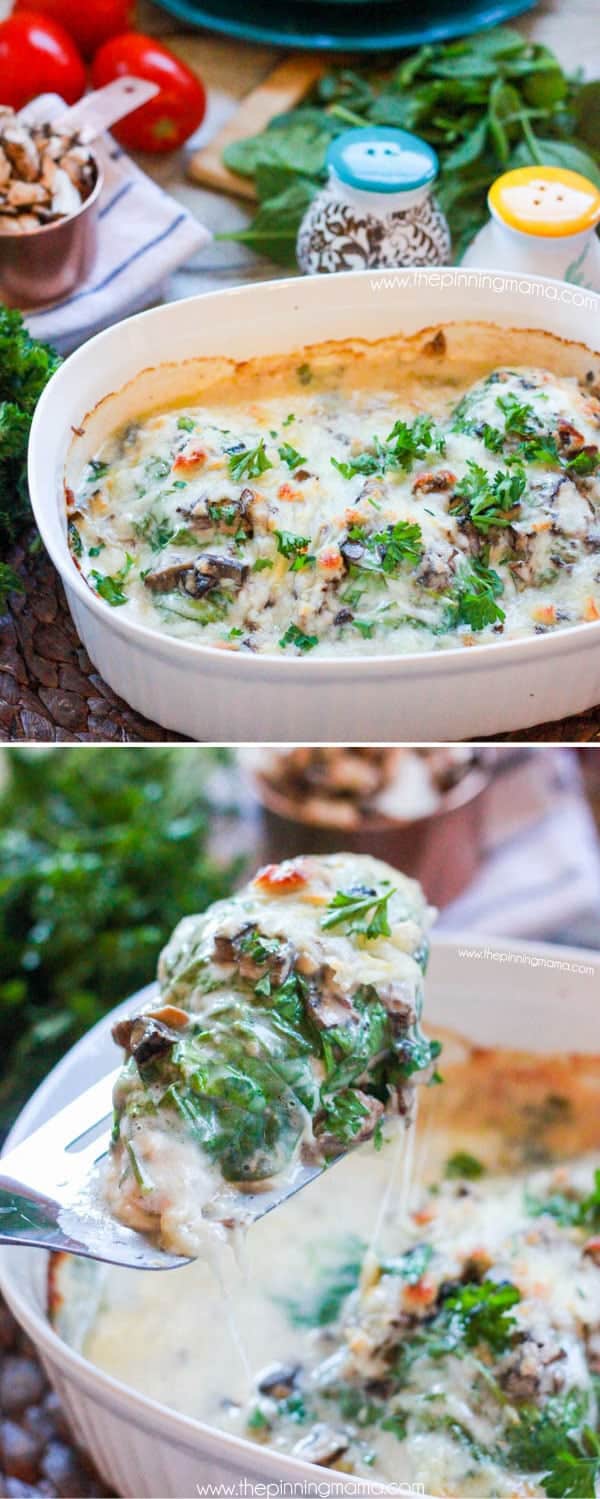 BEST CHICKEN RECIPE EVER! The Cali-Alfredo Chicken bake is chicken breast baked with spinach, mushrooms, bacon, alfredo and cheese on top. It literally tastes like something you order at a restaurant!