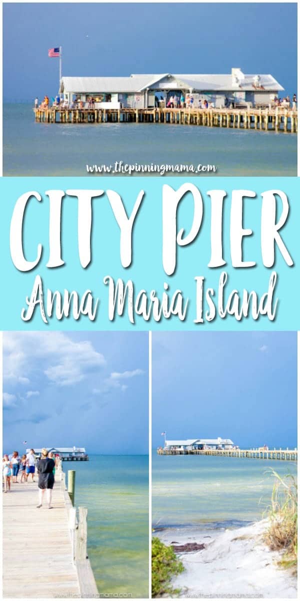 Visit City Pier on Anna Maria Island FLorida to see dolphins, manatees, and even sharks swimming by!