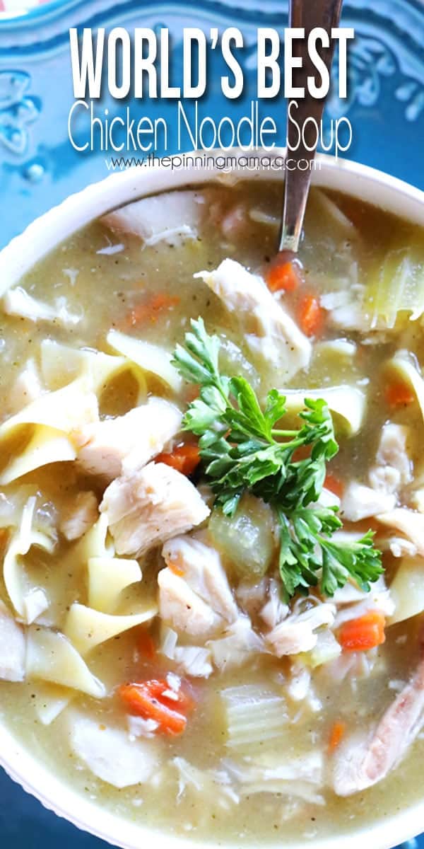 The World's BEST Homemade Chicken Noodle Soup Recipe + Flu Survival Kit