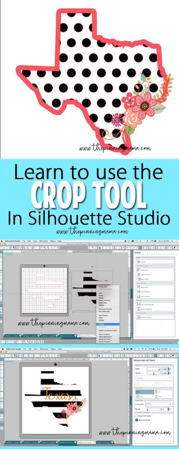 Learn to use the CROP TOOL in Silhouette Studio! You can use this to make so many cool designs like the striped state vinyl decal crafts!
