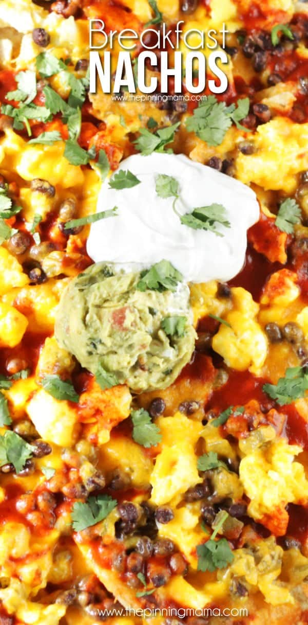 Breakfast Nachos Recipe - This quick and easy breakfast recipe will become a quick favorite if you love nachos as much as we do!  Crispy tortilla chips are layered with eggs, bacon, enchilada sauce and a few other ingredients to make a breakfast to feed 2 or feed a crowd in just minutes.