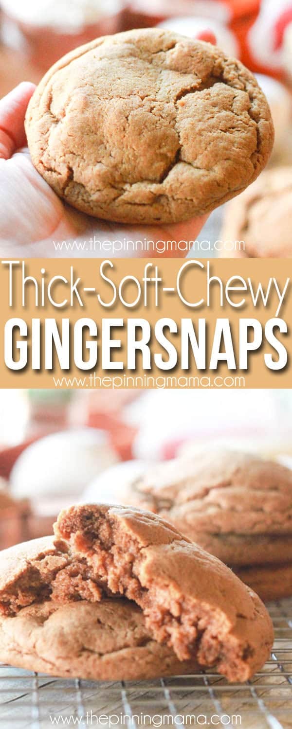 Soft, thick and chewy ginger snap cookies! This recipe is the best ginger snaps you have ever had. We make it every year at Christmas!