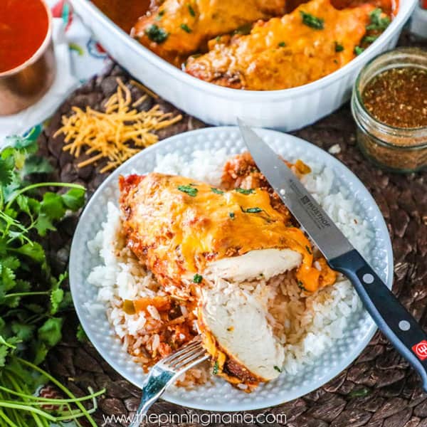 Quick and Easy Dinner Idea- Salsa Chicken Bake - Just 4 ingredients, one dish and 15 minutes of prep! My whole family loves this supper!