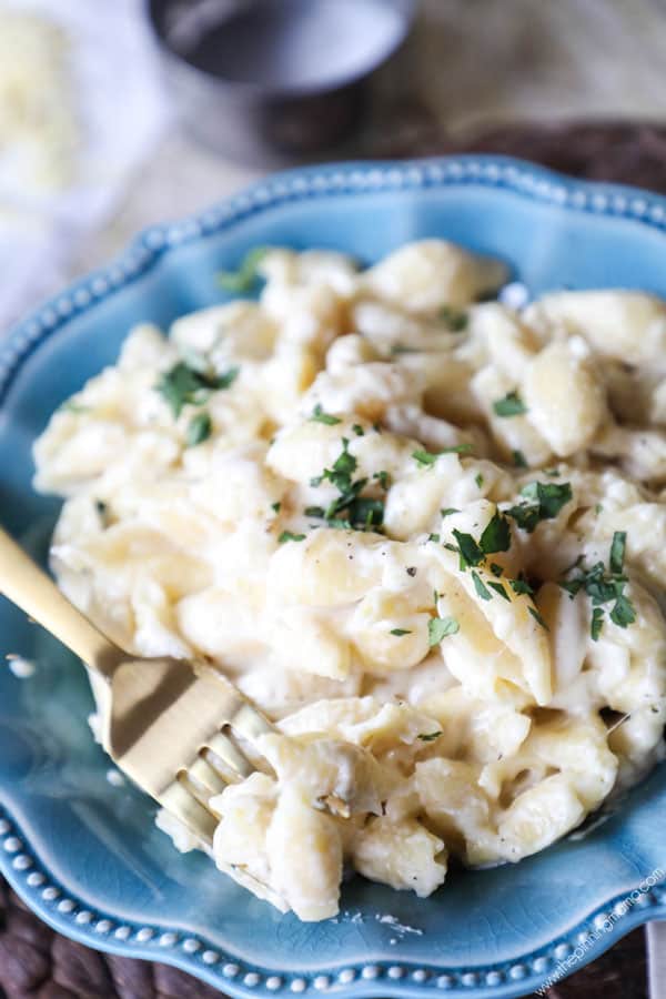 One pot creamy shells and cheese recipe - this is the easiest mac and cheese you will ever make!