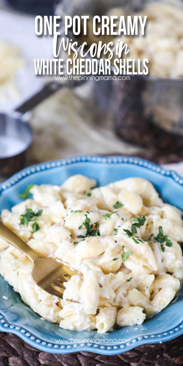 No roux 1 pot creamy shells and cheese recipe - this is the easiest mac and cheese you will ever make!