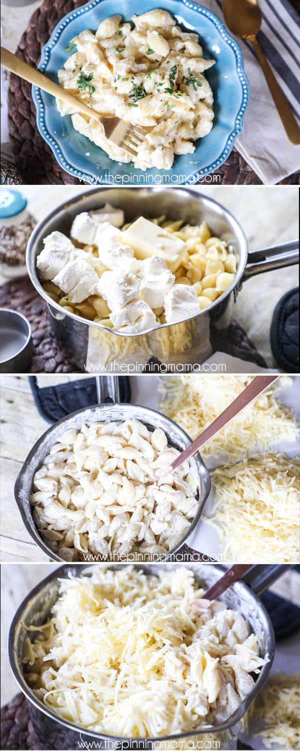 One pot creamy shells and cheese recipe - this is the easiest mac and cheese you will ever make!