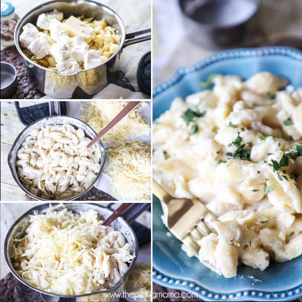 One pot creamy shells and cheese recipe - this is the easiest mac and cheese you will ever make!