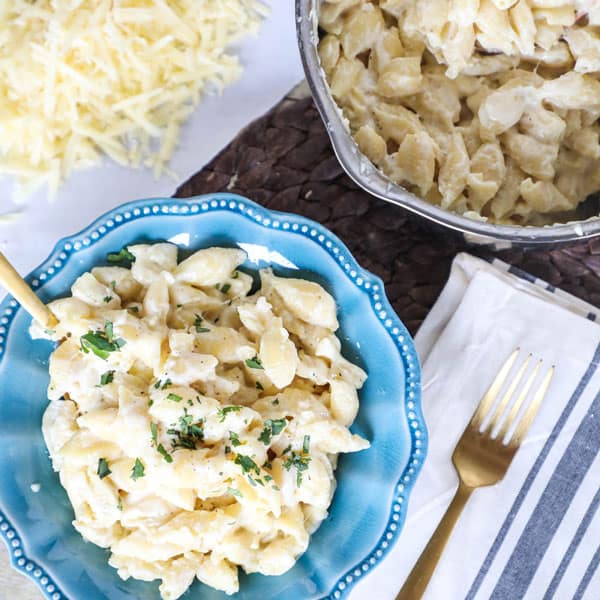 One pot creamy shells and cheese recipe - this is the easiest mac and cheese you will ever make!