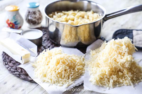 One pot creamy shells and cheese recipe - this is the easiest mac and cheese you will ever make!