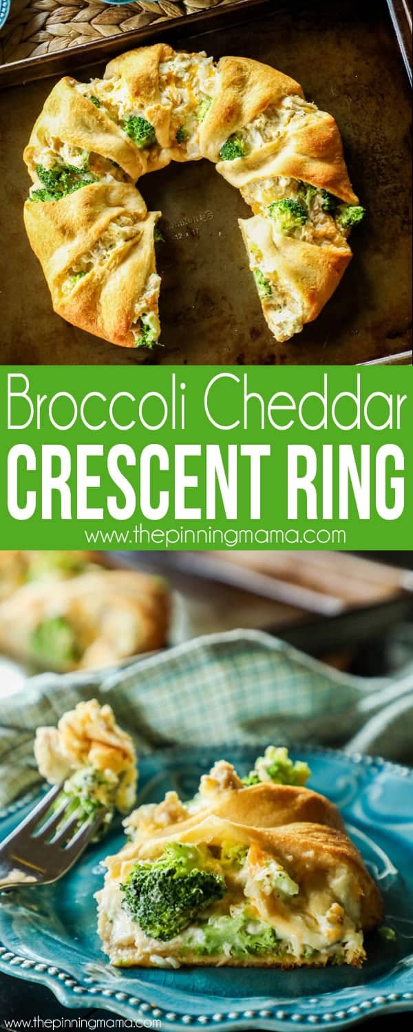 Chicken Broccoli Cheddar Crescent Ring Recipe • The Pinning Mama