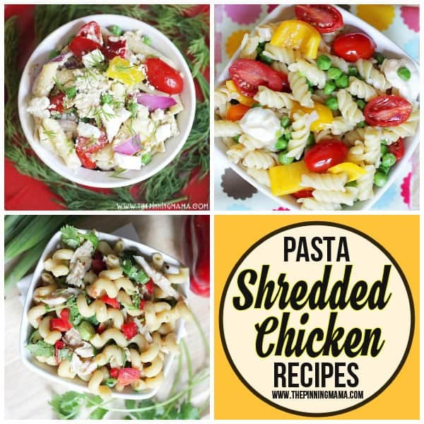 Shredded Chicken Pasta recipes