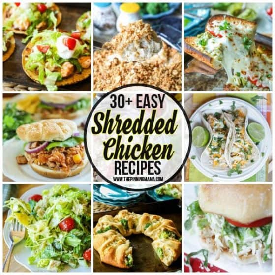 List of Easy to make shredded chicken recipe