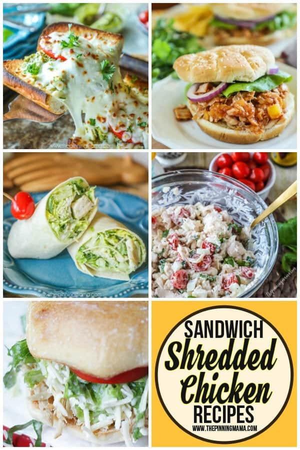 Shredded Chicken sandwich recipes