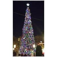 California Disney