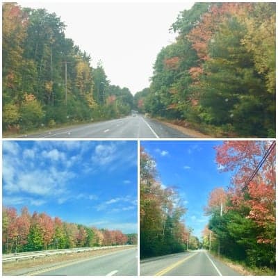 "Fall" in love with Maine