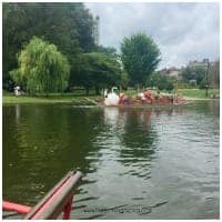 Freedom Trail, Boston Commons, swan boats