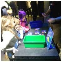 Education Games and Fun Facts at the Boston Aquarium