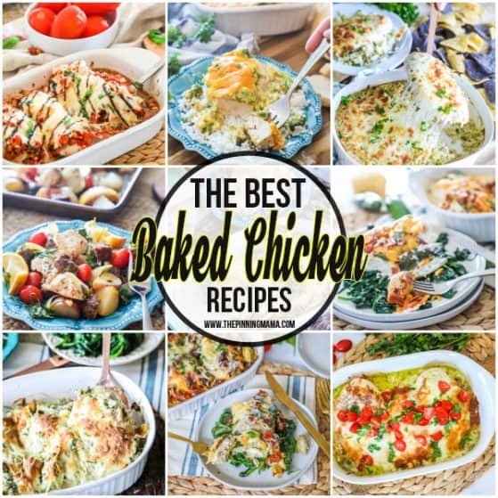 The BEST Baked Chicken Recipes