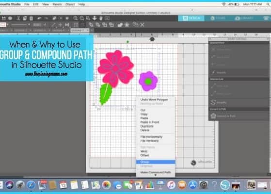 Compound Path and Groups in Silhouette Studio