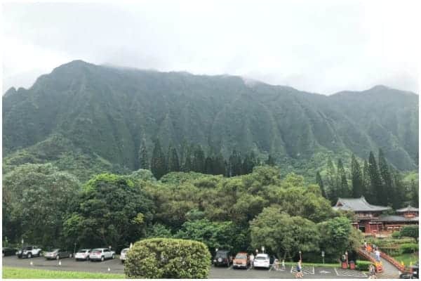 Ko'oala Cliffs in Hawaii. 