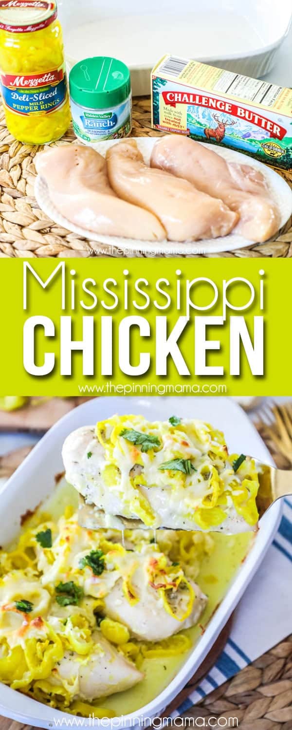 Easy + Delicious Mississippi Chicken Recipe