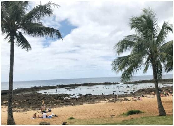 Snorkeling in Tide Oahu Hawaii.