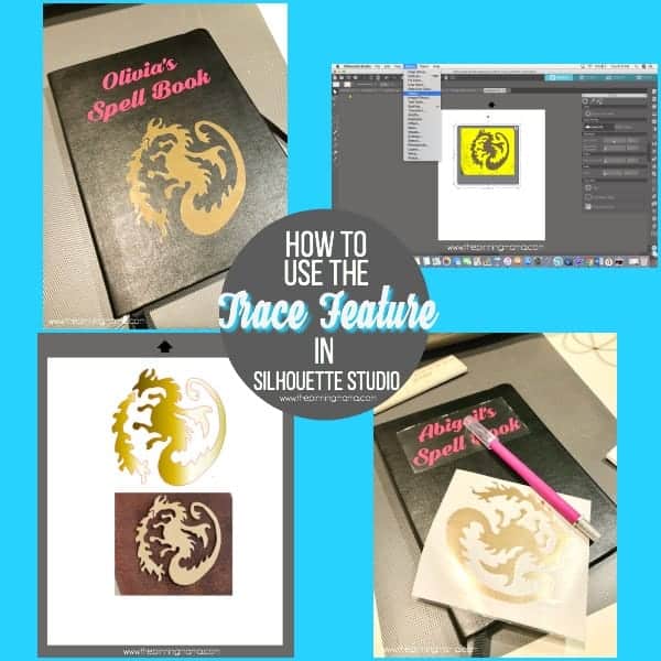 How to use the TRACE feature in Silhouette Studio. 