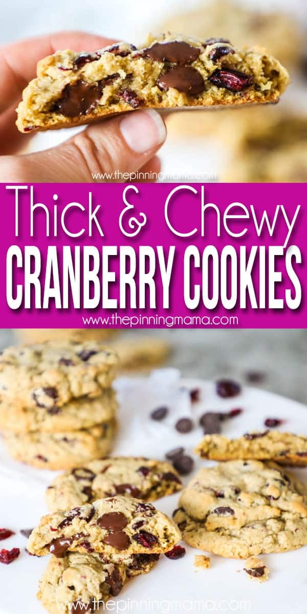 Thick and Chewy Cranberry Chocolate Chip Cookies