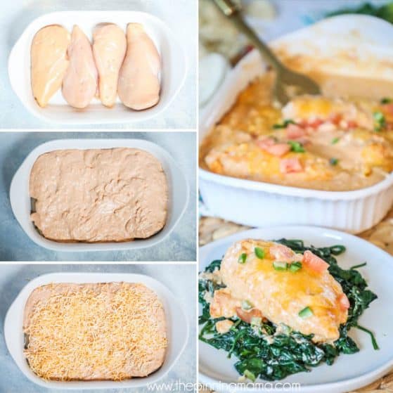 Creamy Chicken Enchilada Casserole recipe