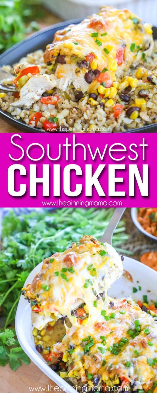 The BEST Southwest Chicken - Only 1 Dish!