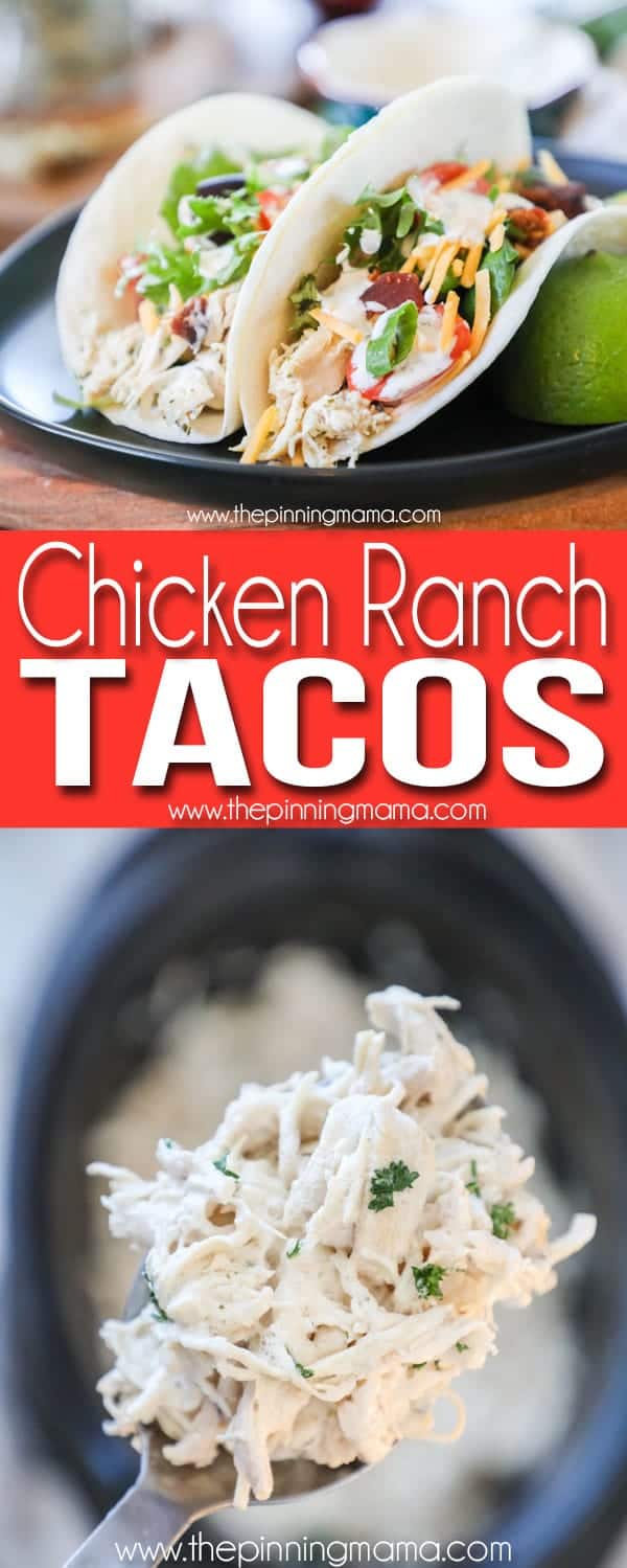Creamy and easy to make Chicken Ranch Tacos