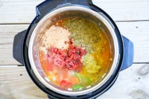 Chicken Fajita Soup Step 2: Add fajita seasoning, broth, salsa, tomato paste, tomatoes, and green chiles to the pot and mix well.