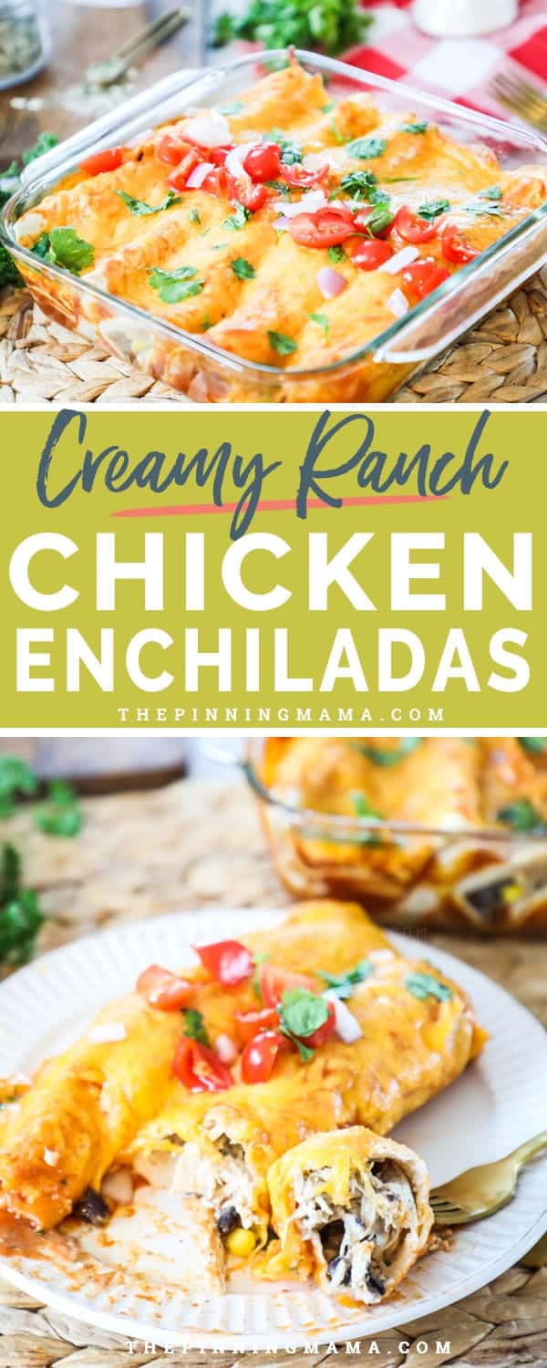 Creamy Ranch Chicken Enchiladas are loaded with flavor and perfect for a weeknight meal. 