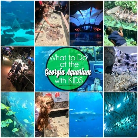 The Georgia Aquarium and all the activities for families.