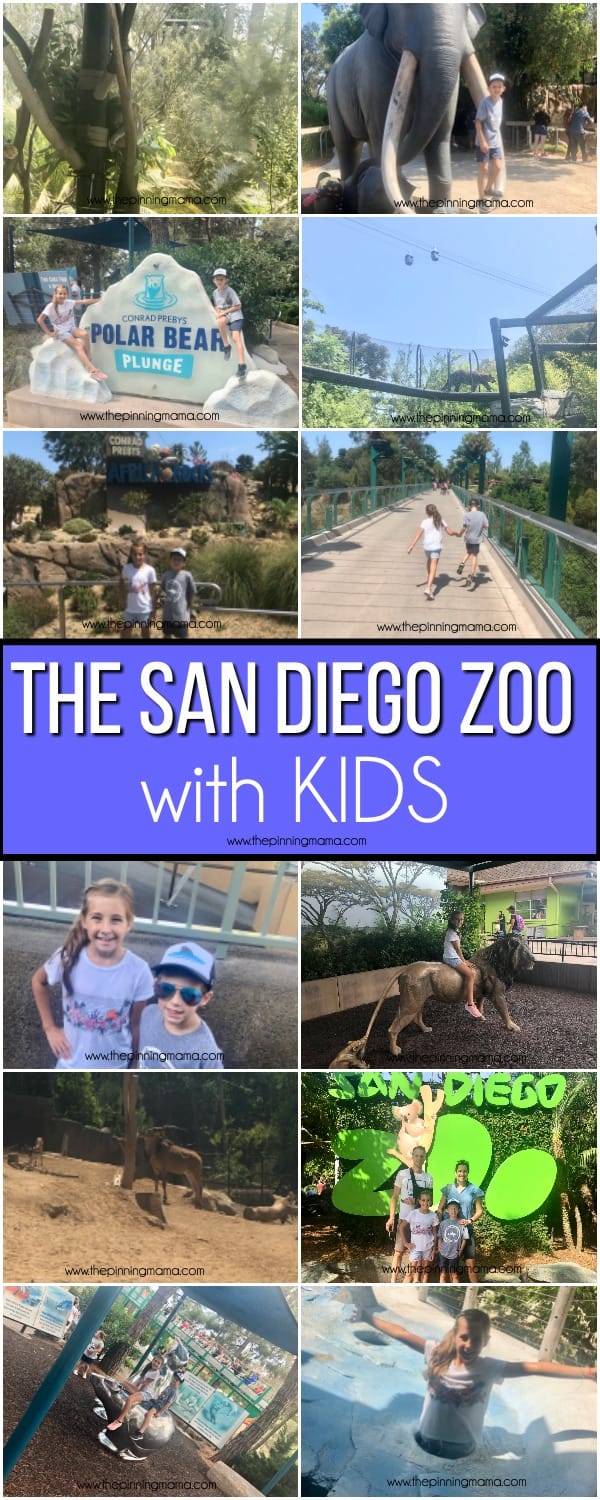 What to do at the San Diego Zoo with kids. 