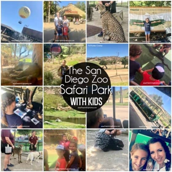 What to do at the San Diego Zoo Safari Park with Families.