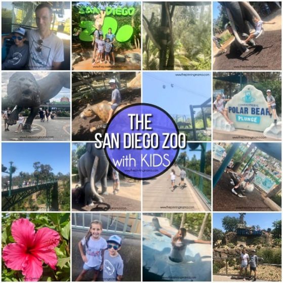 The San Diego Zoo with Kids.